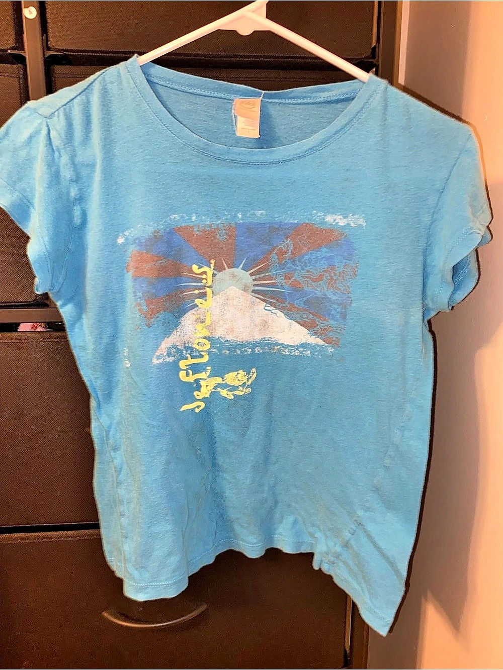 Vintage Deftones t shirt